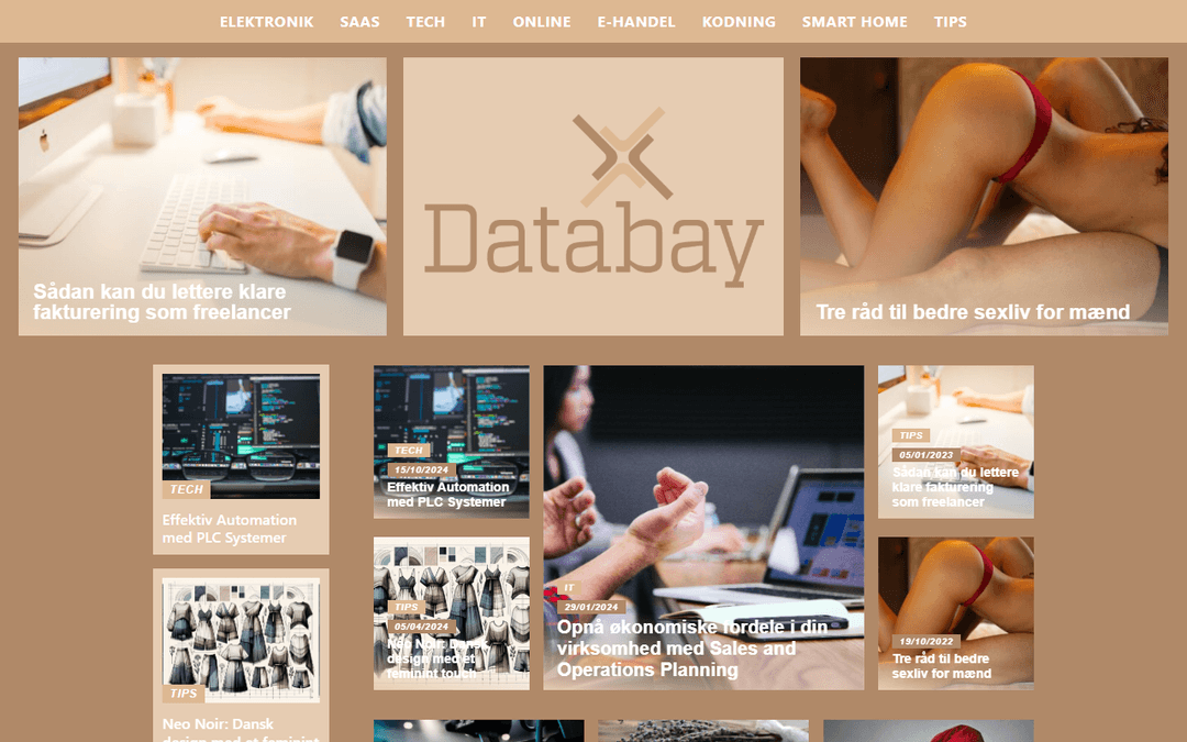databay.dk publisher screenshot