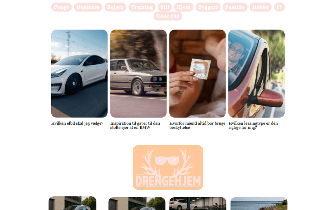 drengehjem.dk publisher screenshot
