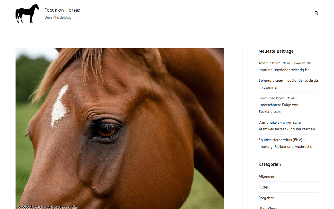 focus-on-horses.de publisher screenshot
