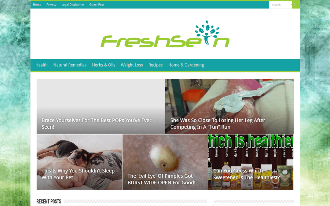freshsein.com publisher screenshot