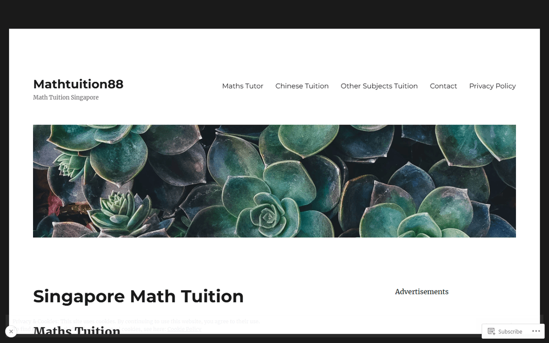 mathtuition88.com publisher screenshot