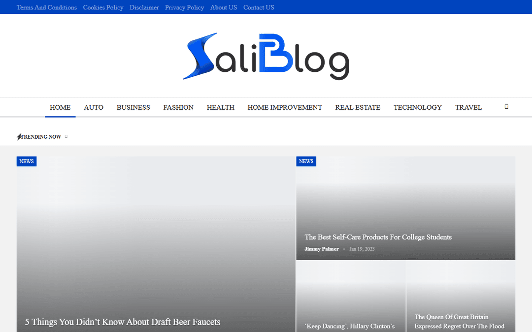 saliblog.com publisher screenshot