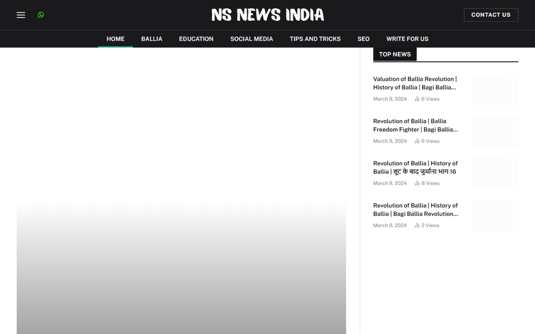 nsnewsindia.net publisher screenshot