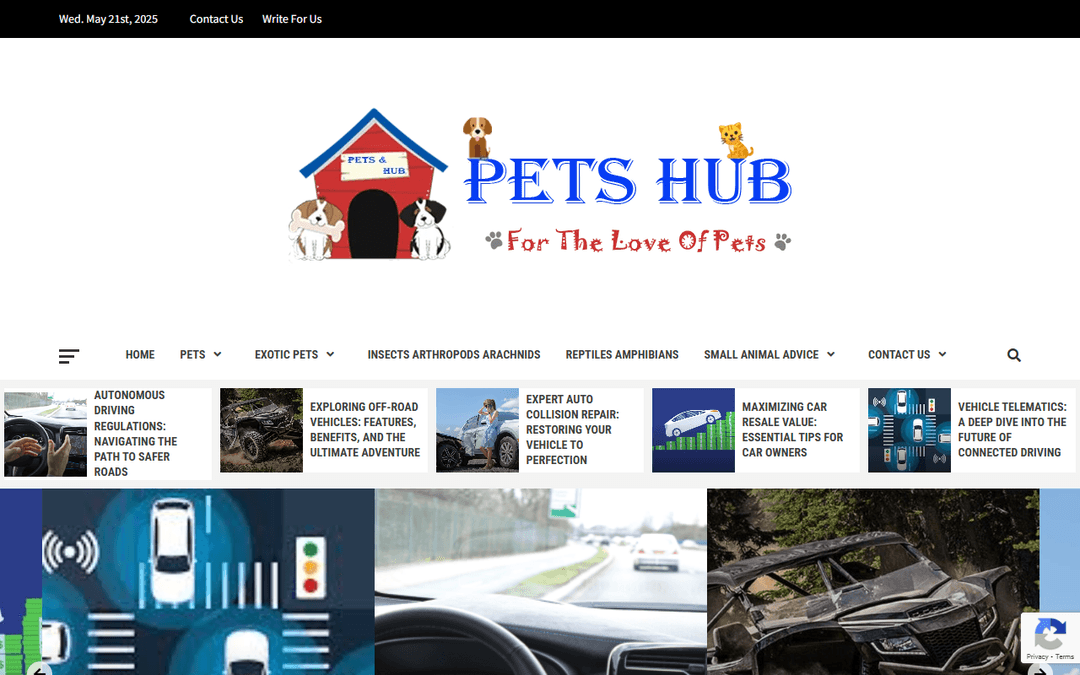 petshub.xyz publisher screenshot