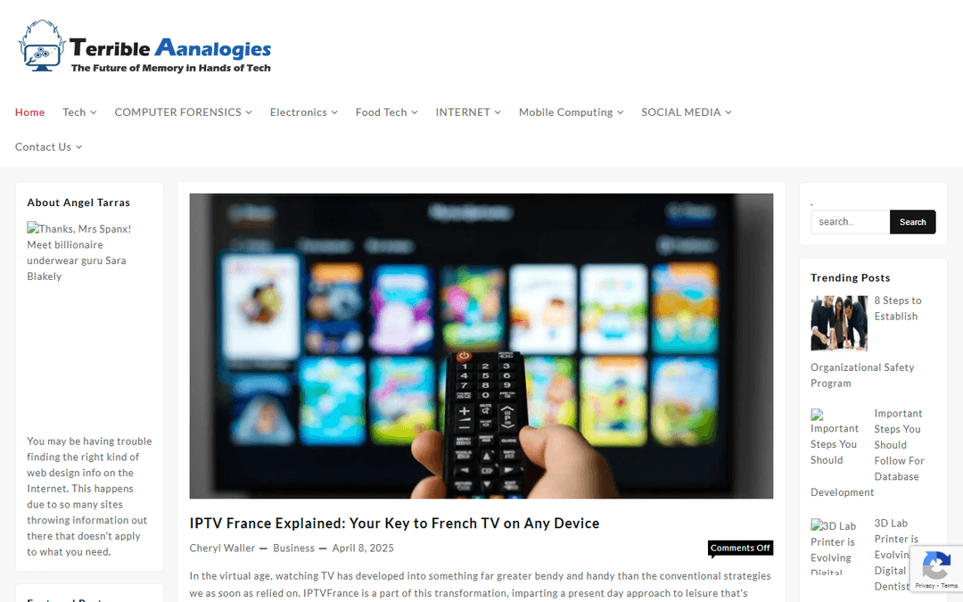 terribleanalogies.com publisher screenshot