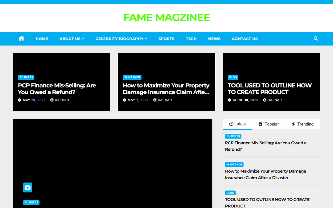 famemagzinee.com publisher screenshot