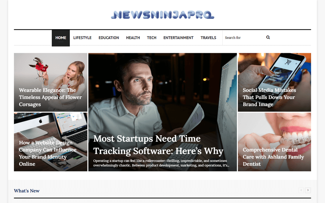 newsninjapro.com publisher screenshot