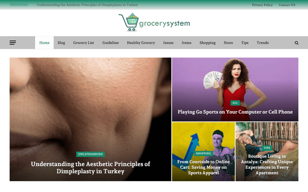 grocerysystem.net publisher screenshot