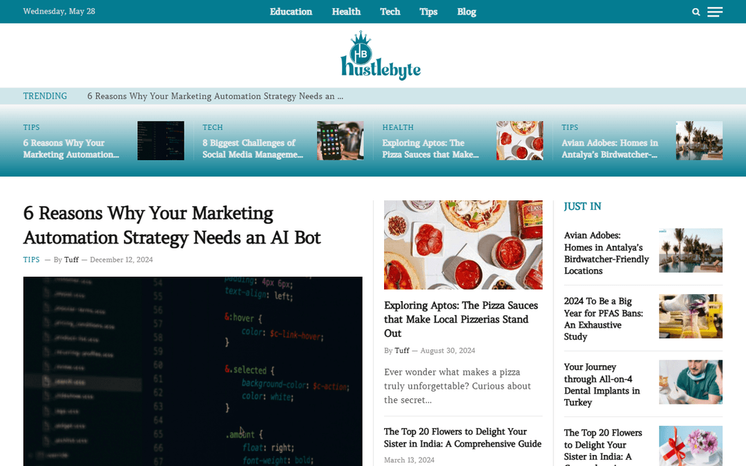 hustlebyte.com publisher screenshot