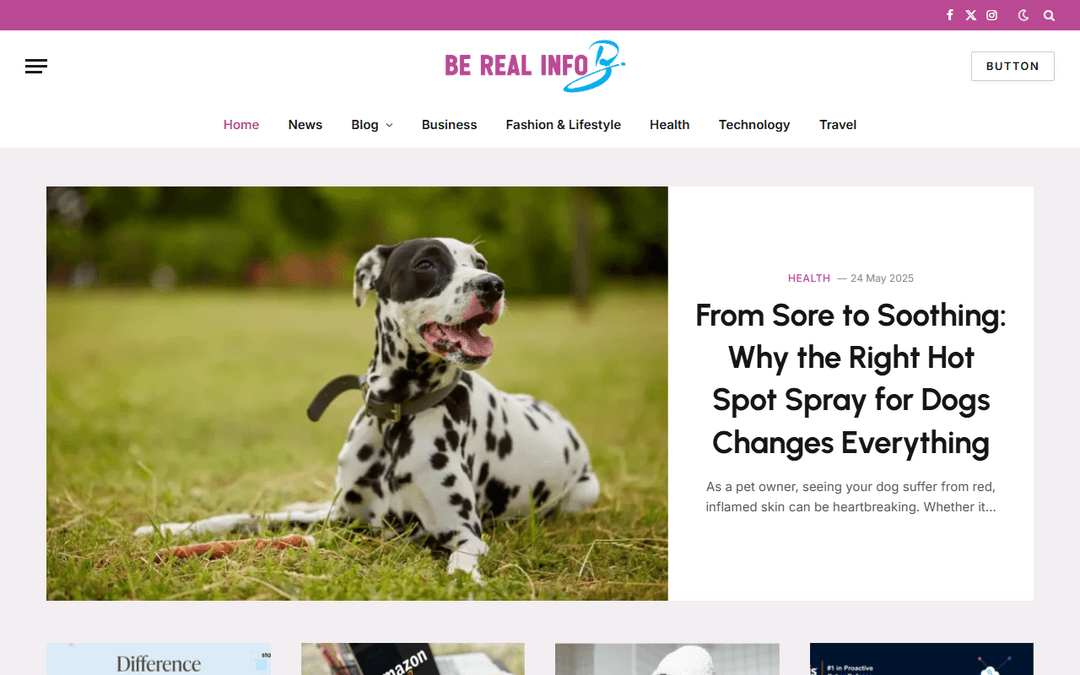 berealinfo.com publisher screenshot