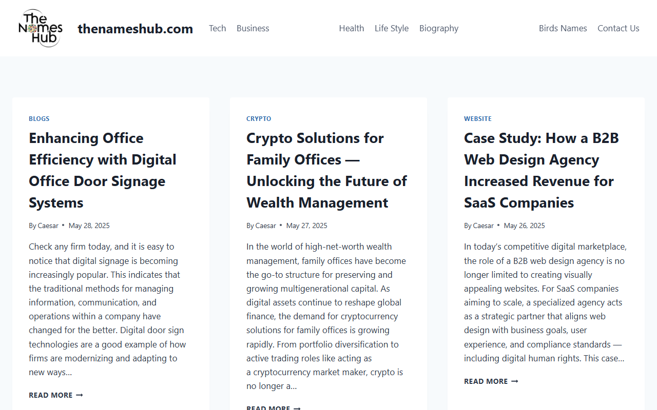 thenameshub.com publisher screenshot