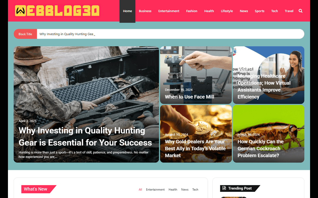 webblog30.com publisher screenshot