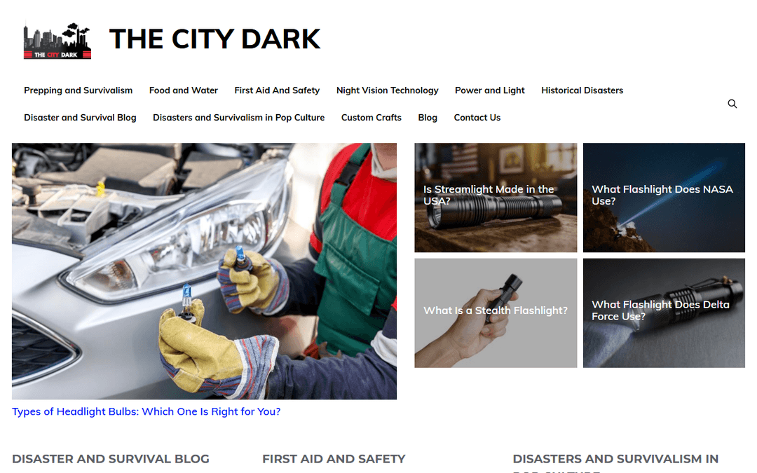 thecitydark.com publisher screenshot
