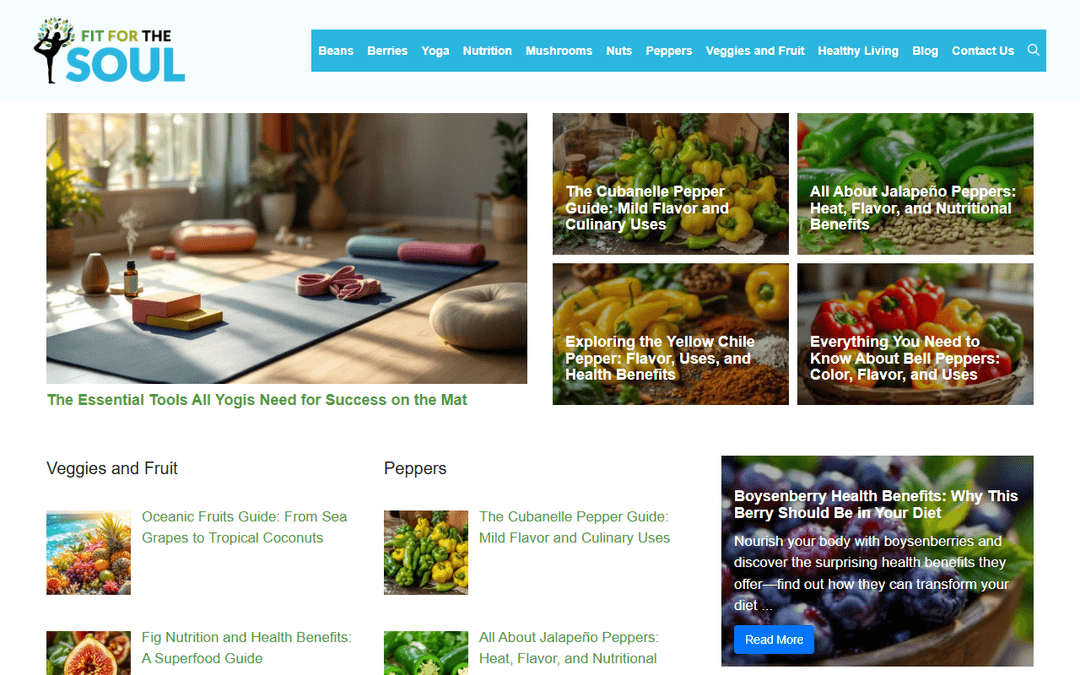 fitforthesoul.com publisher screenshot