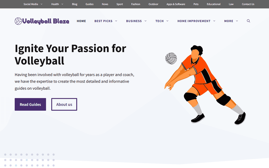 volleyballblaze.com publisher screenshot