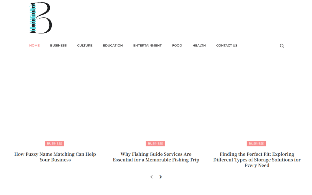 theblognewss.com publisher screenshot