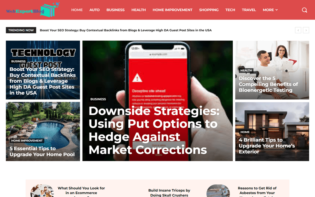 webexpertsblog.com publisher screenshot