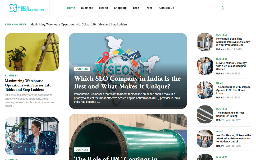 mediamagaziness.com publisher screenshot