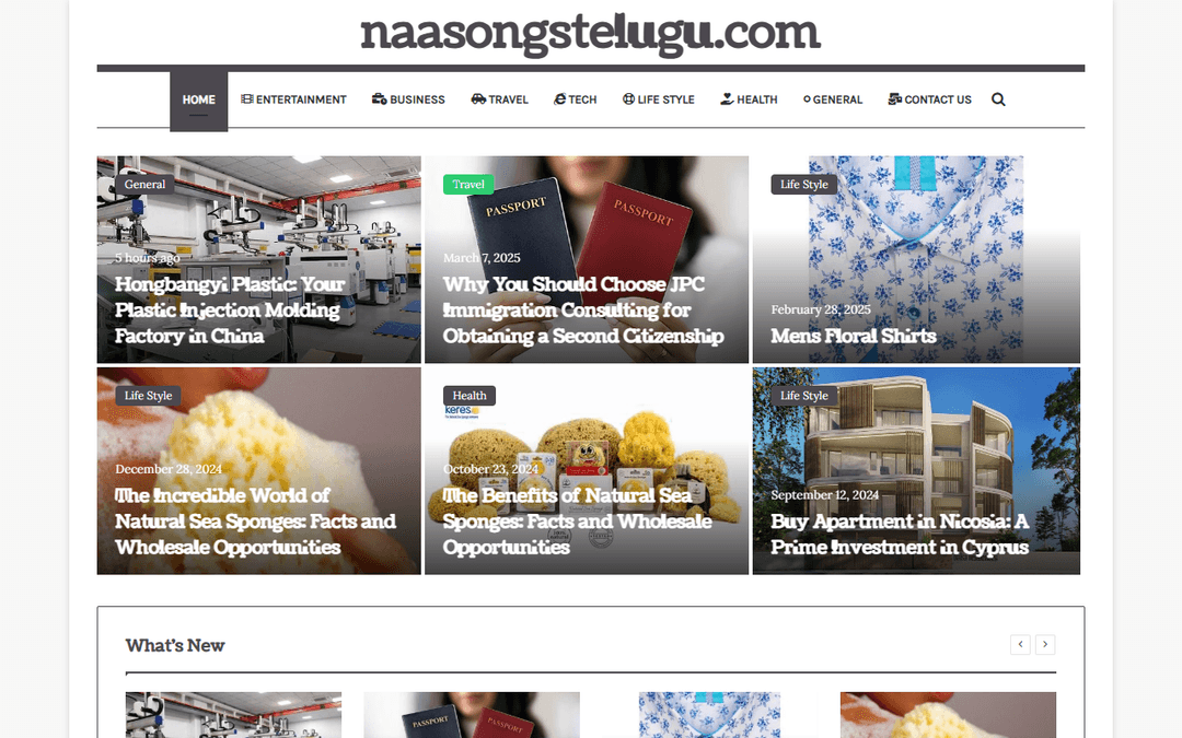 naasongstelugu.com publisher screenshot