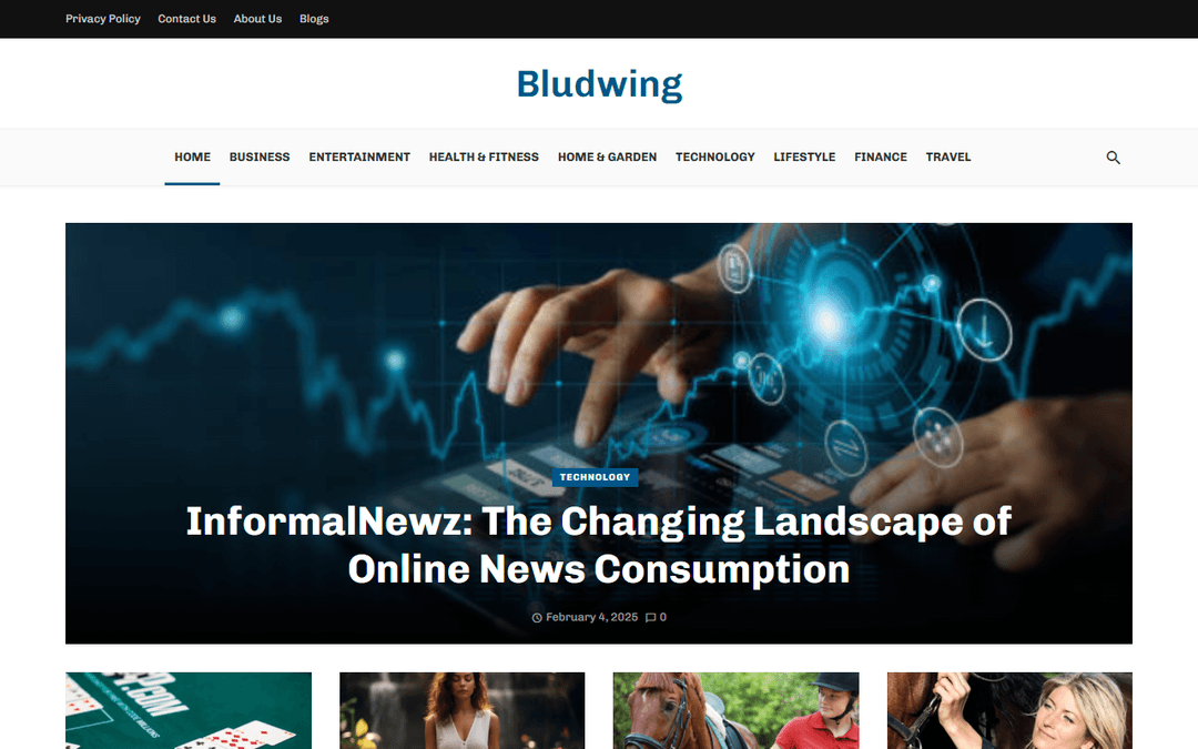bludwing.com publisher screenshot