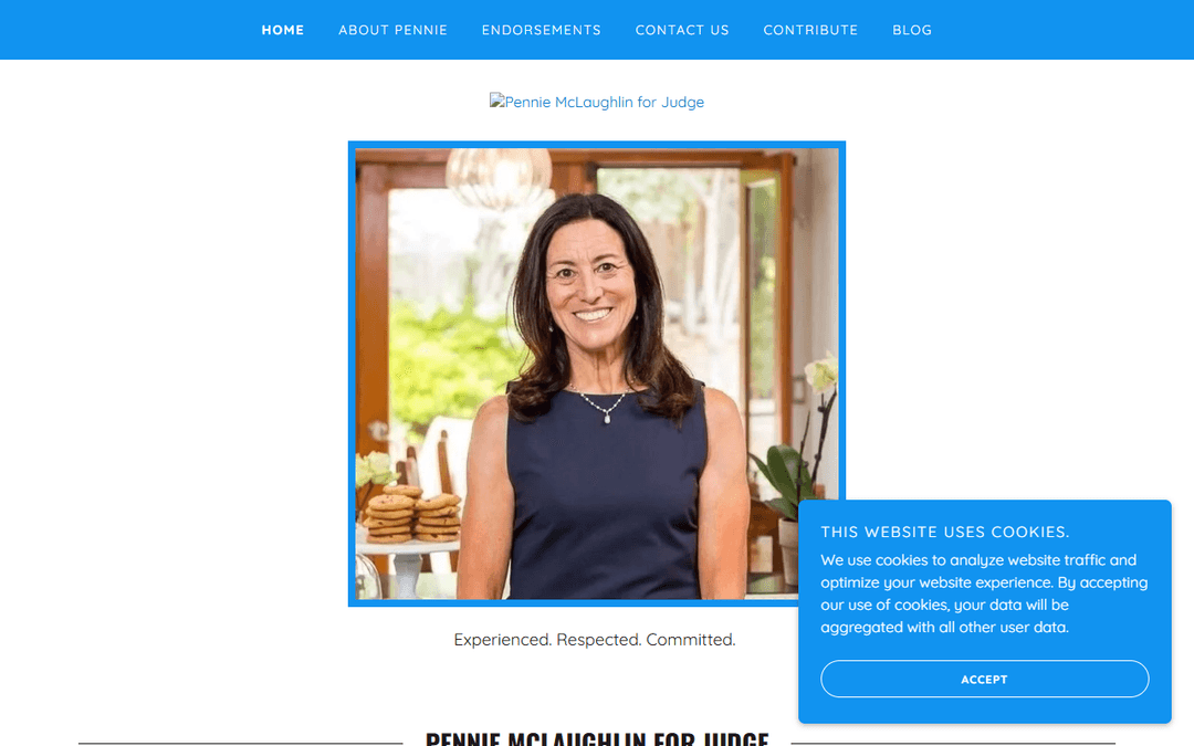 votemclaughlinforjudge.com publisher screenshot
