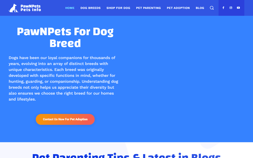 pawnpets.com publisher screenshot