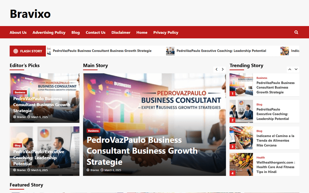 bravixo.com publisher screenshot