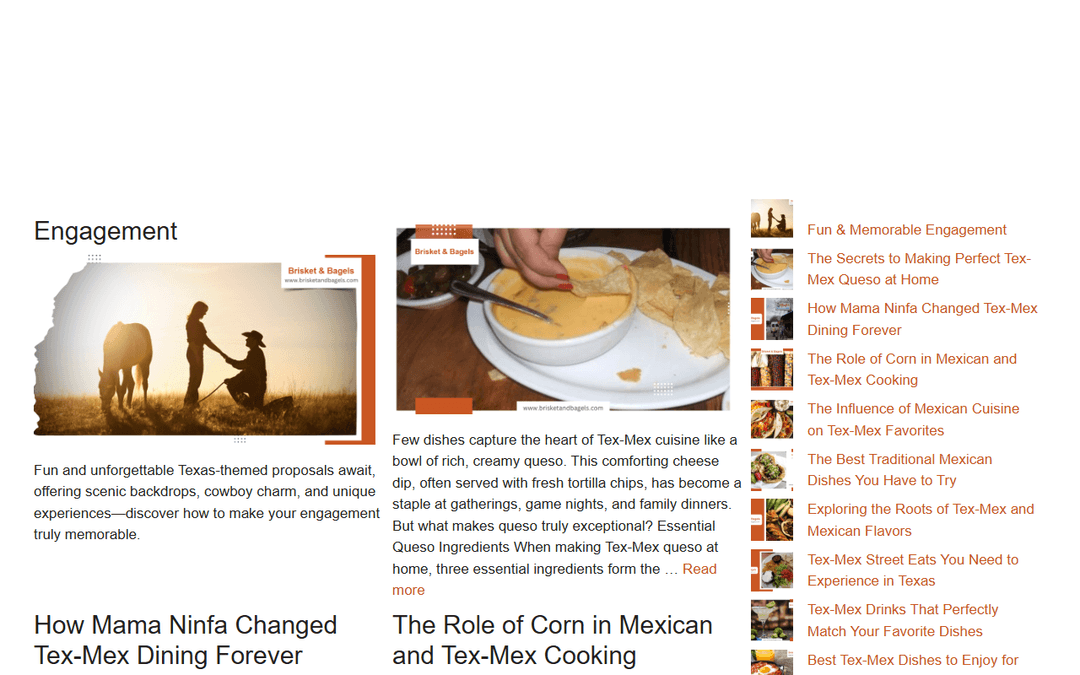 brisketandbagels.com publisher screenshot