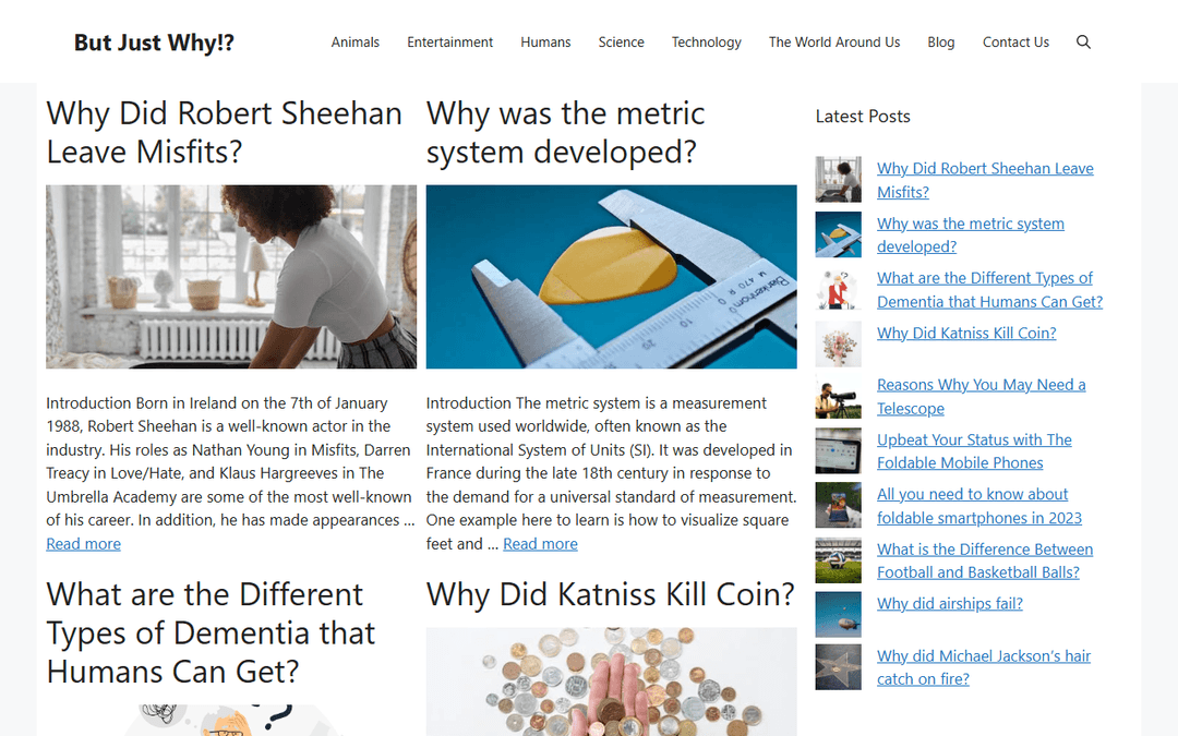 butjustwhy.com publisher screenshot