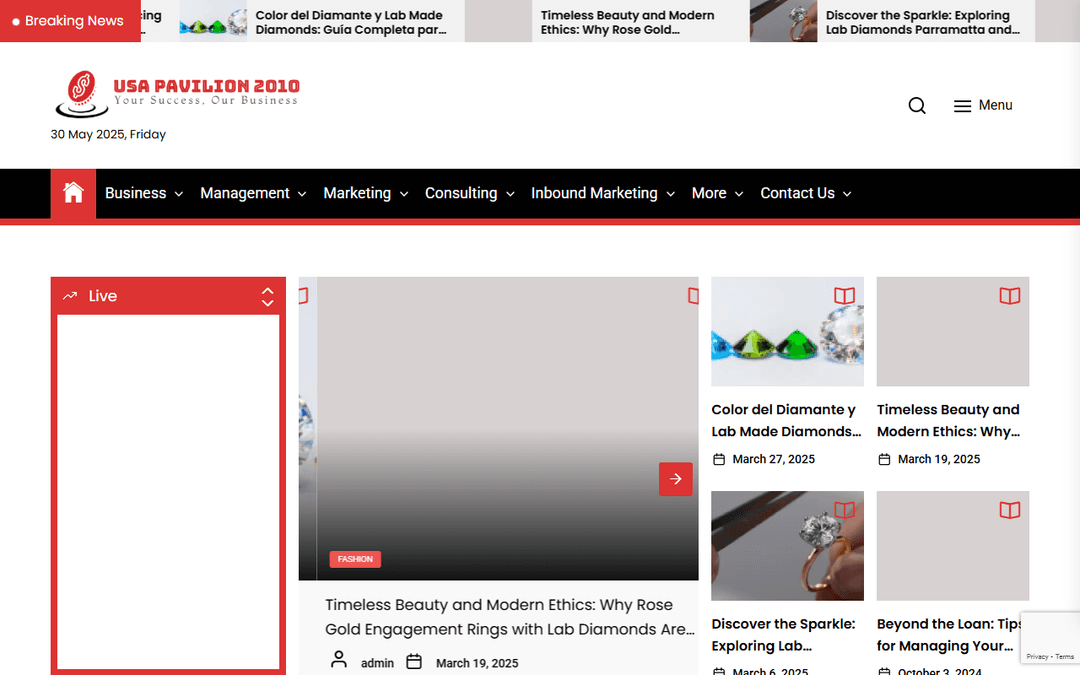 usapavilion2010.com publisher screenshot