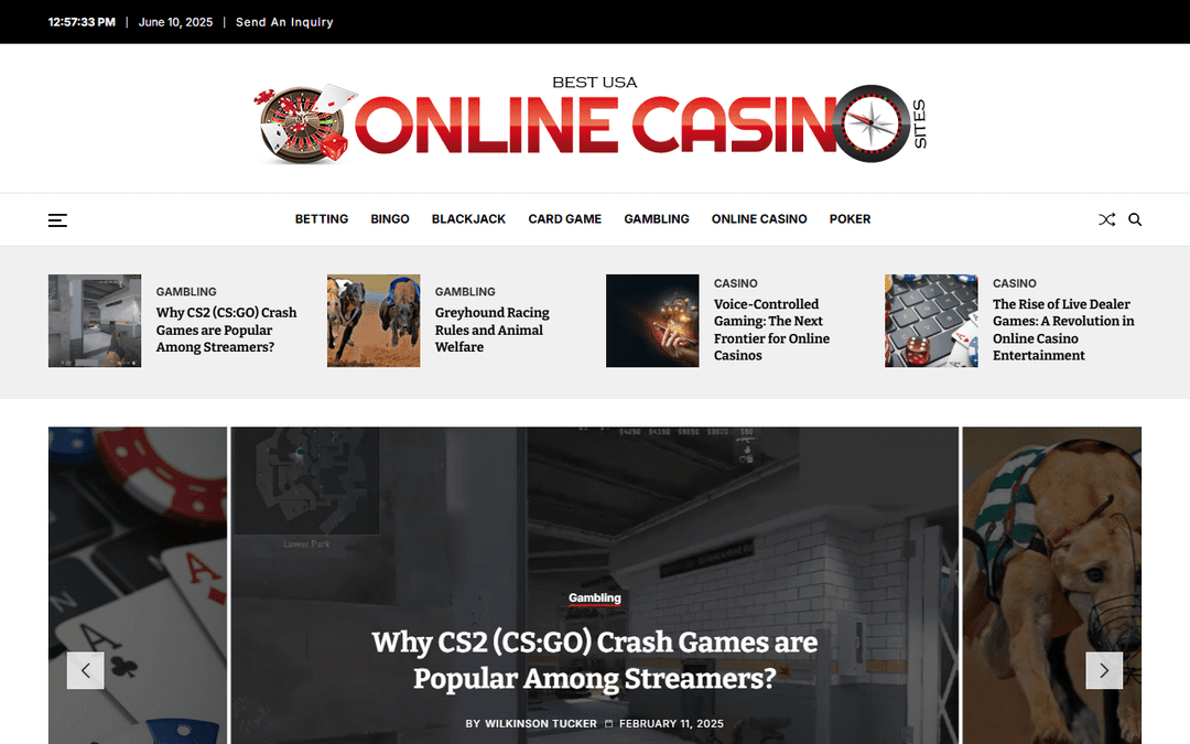 bestusaonlinecasinosites.com publisher screenshot