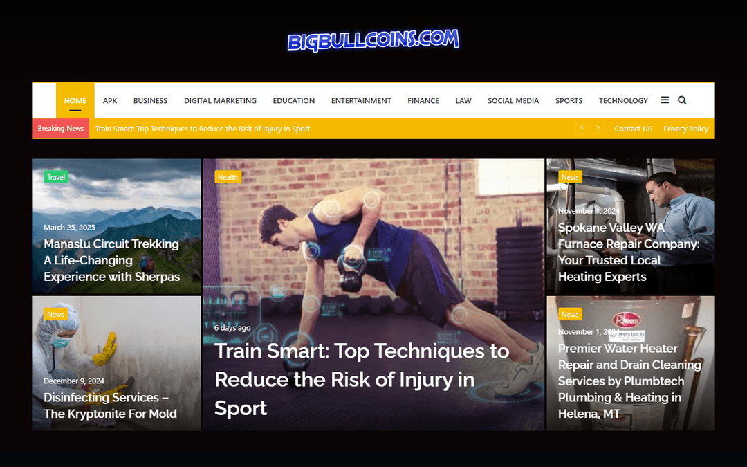 bigbullcoins.com publisher screenshot