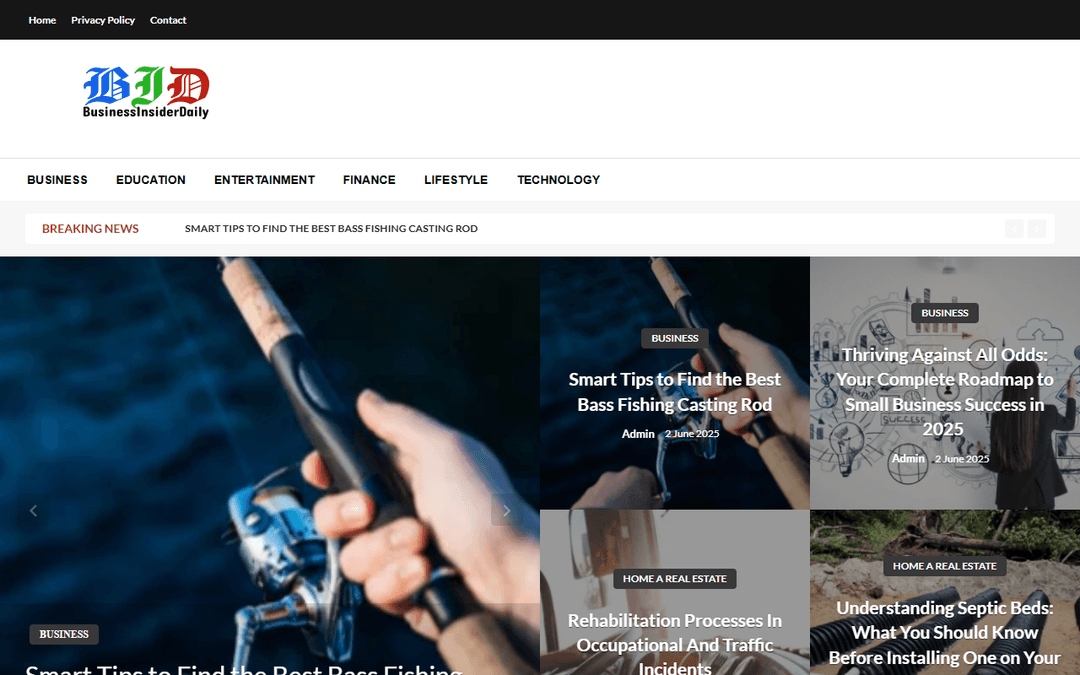 businessinsiderdaily.com publisher screenshot