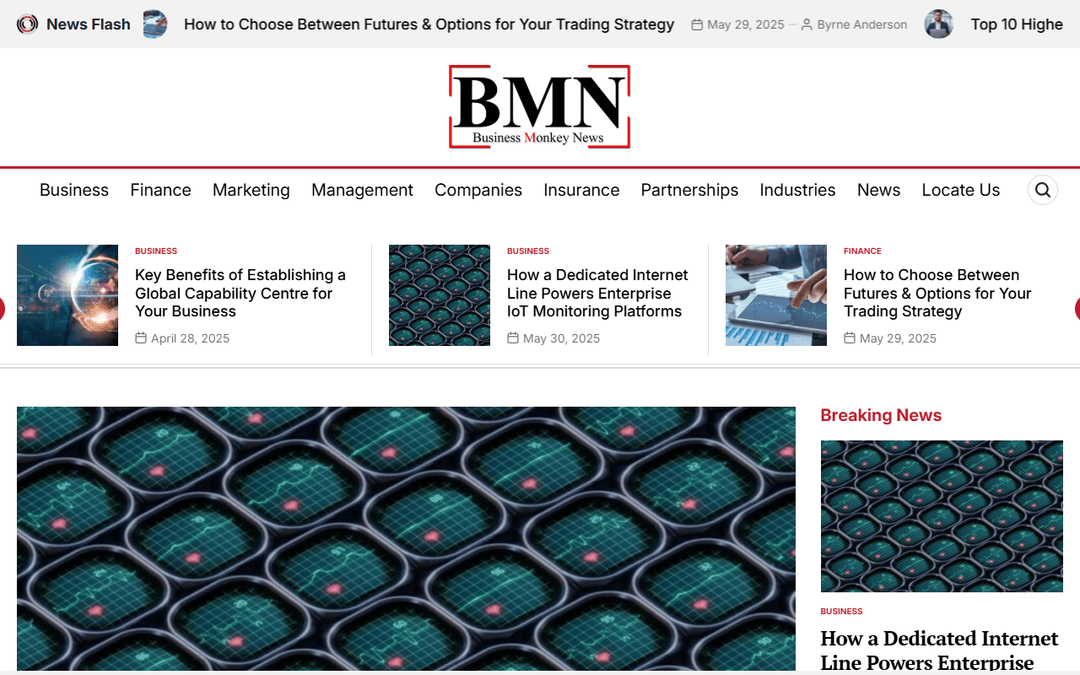 businessmonkeynews.com publisher screenshot