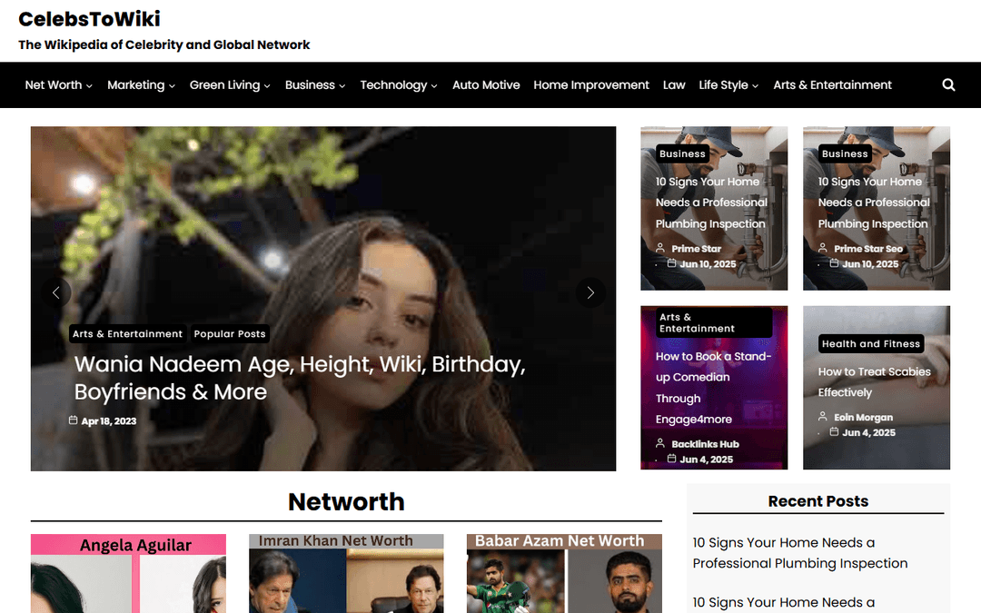 celebstowiki.com publisher screenshot