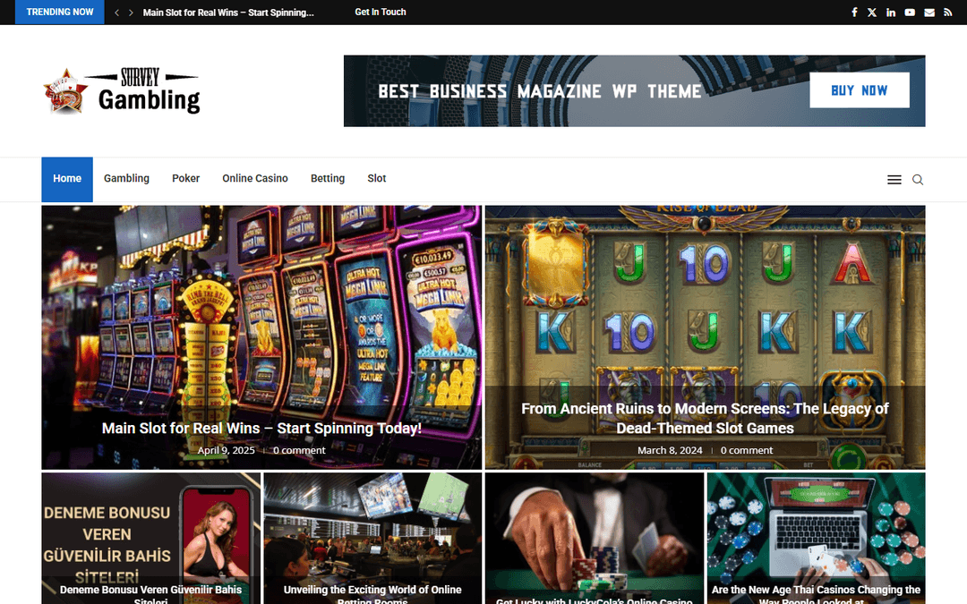 surveygambling.com publisher screenshot