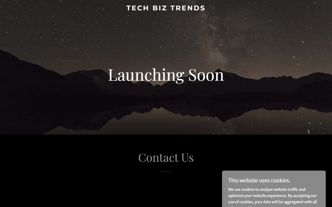 techbiztrends.com publisher screenshot