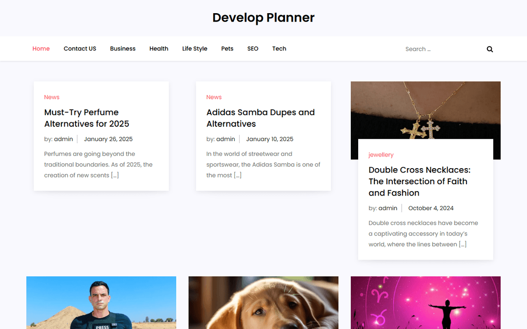 developplanner.us publisher screenshot