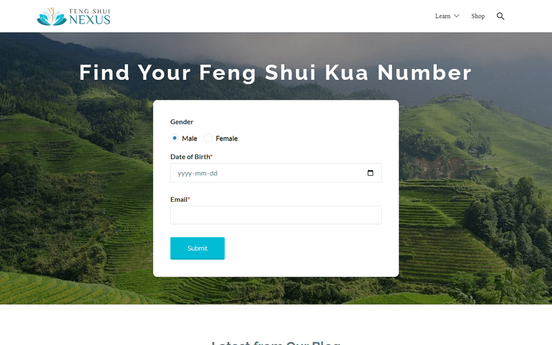 fengshuinexus.com publisher screenshot