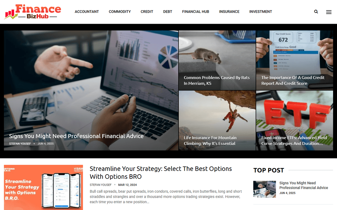 financebizhub.com publisher screenshot