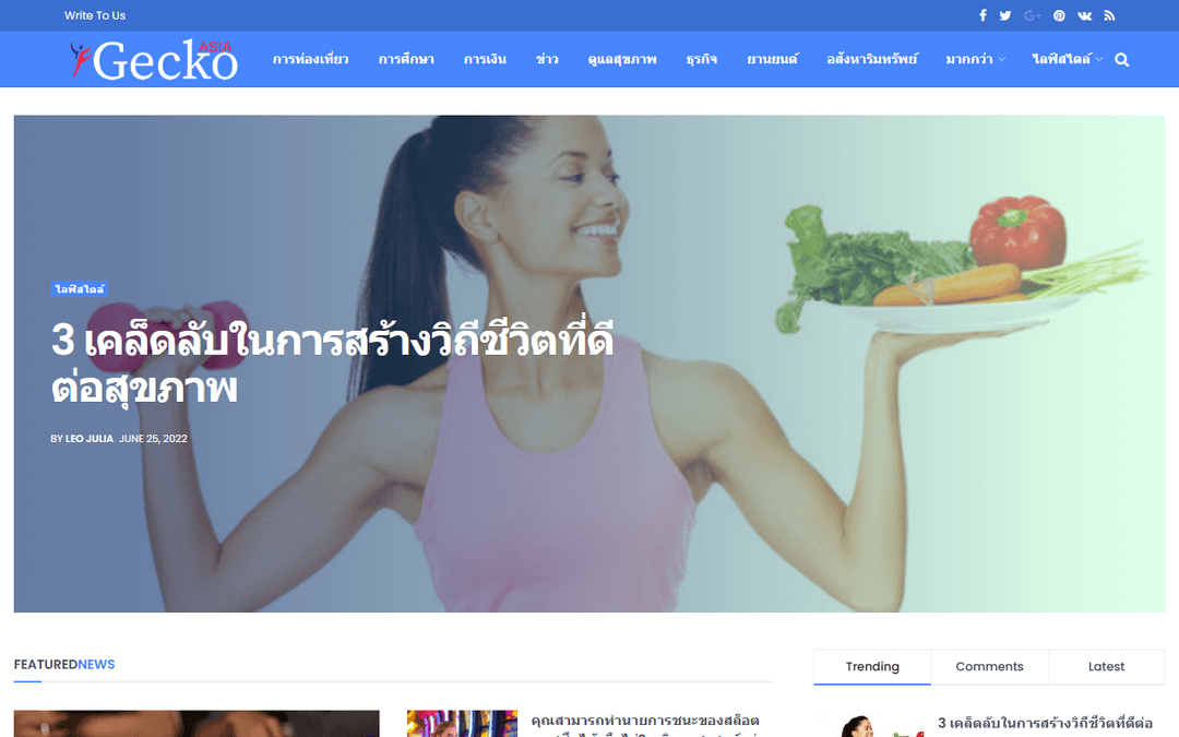 geeko.asia publisher screenshot