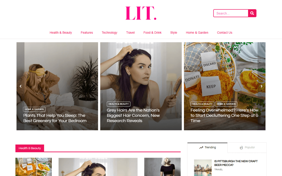 litmag.co.uk publisher screenshot