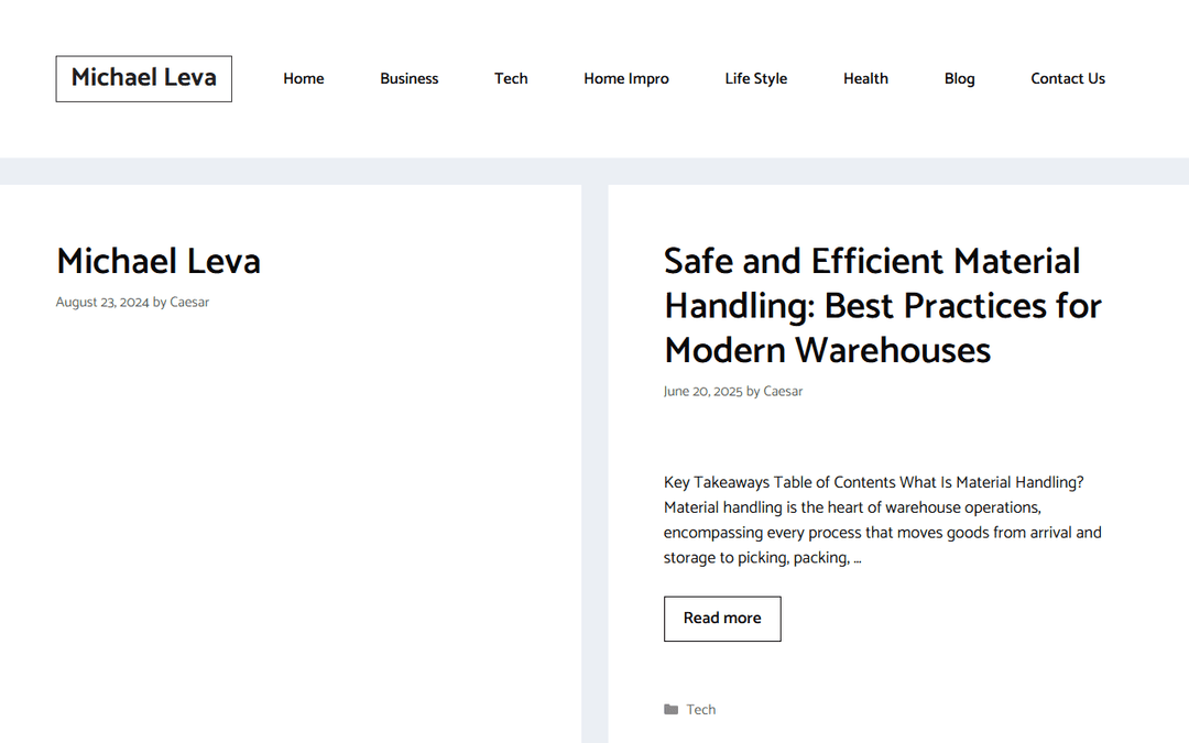 michaelleva.com publisher screenshot