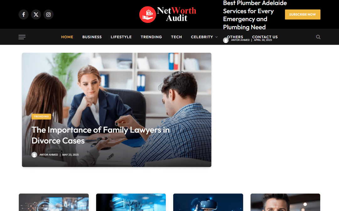 networthaudit.com publisher screenshot