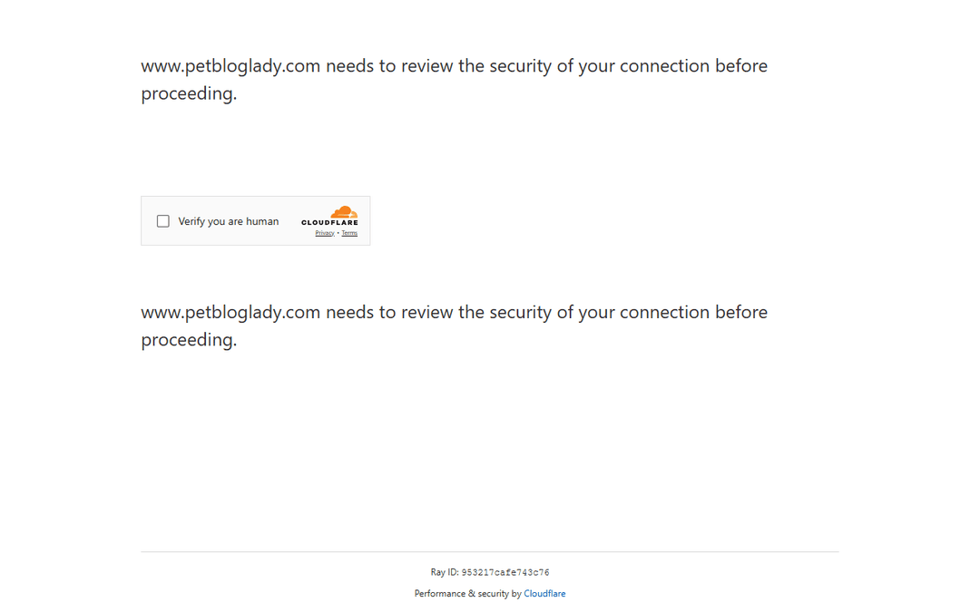 petbloglady.com publisher screenshot