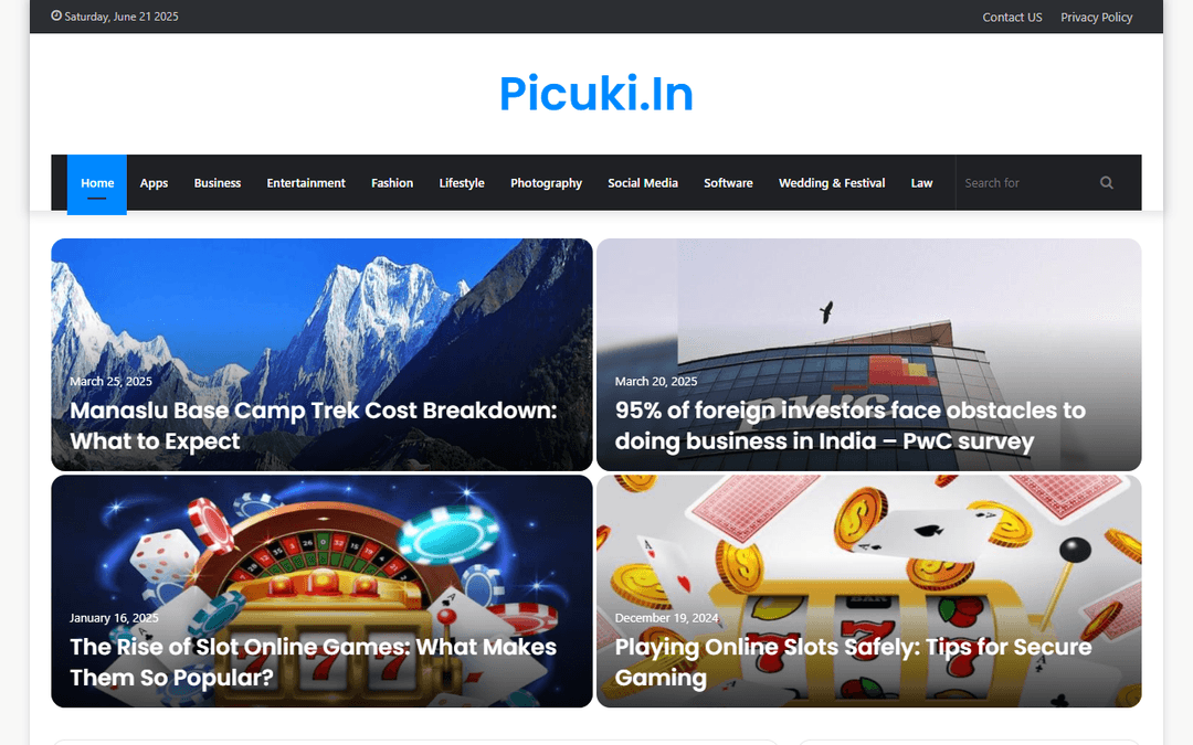 picuki.in publisher screenshot