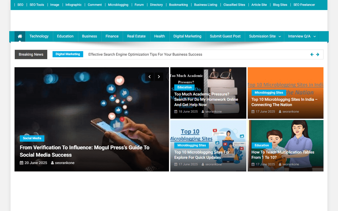 seorankone1.com publisher screenshot