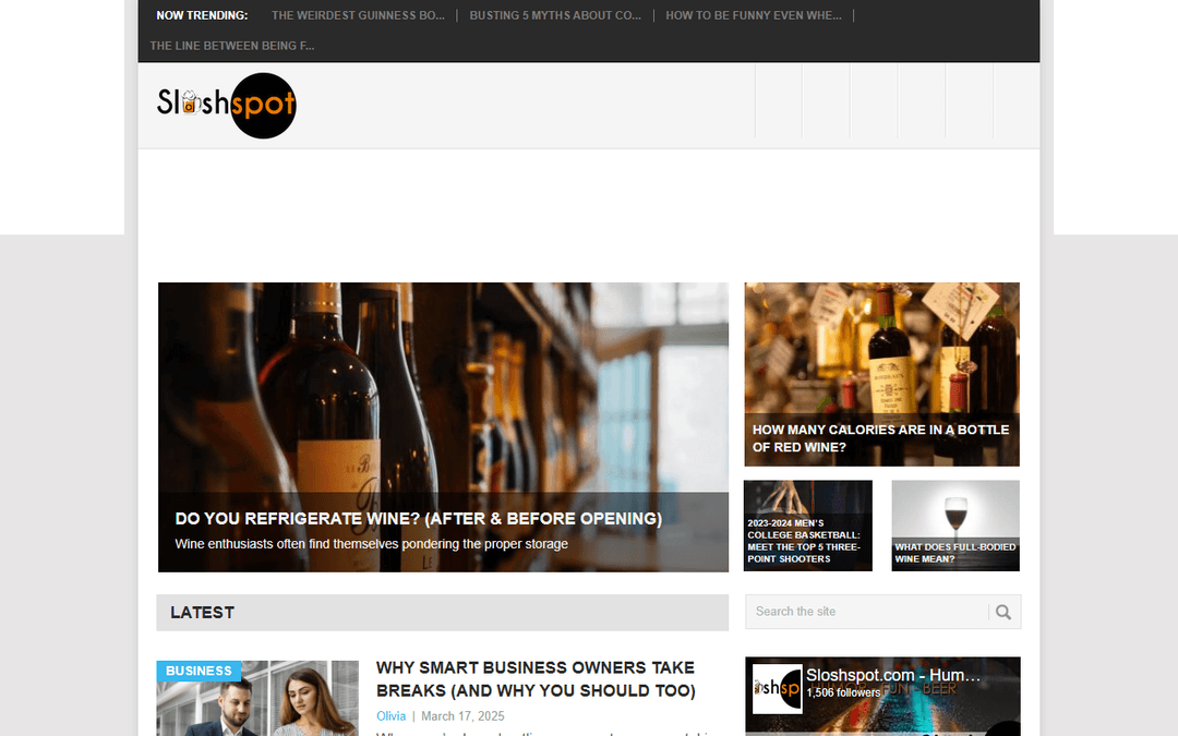 sloshspot.com publisher screenshot