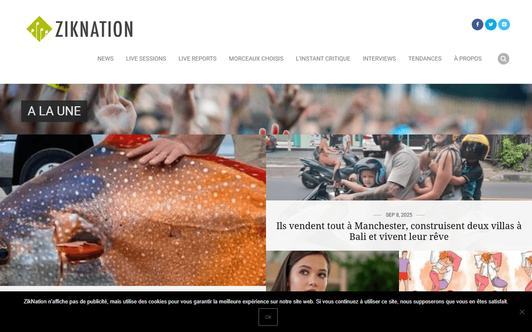 ziknation.com publisher screenshot