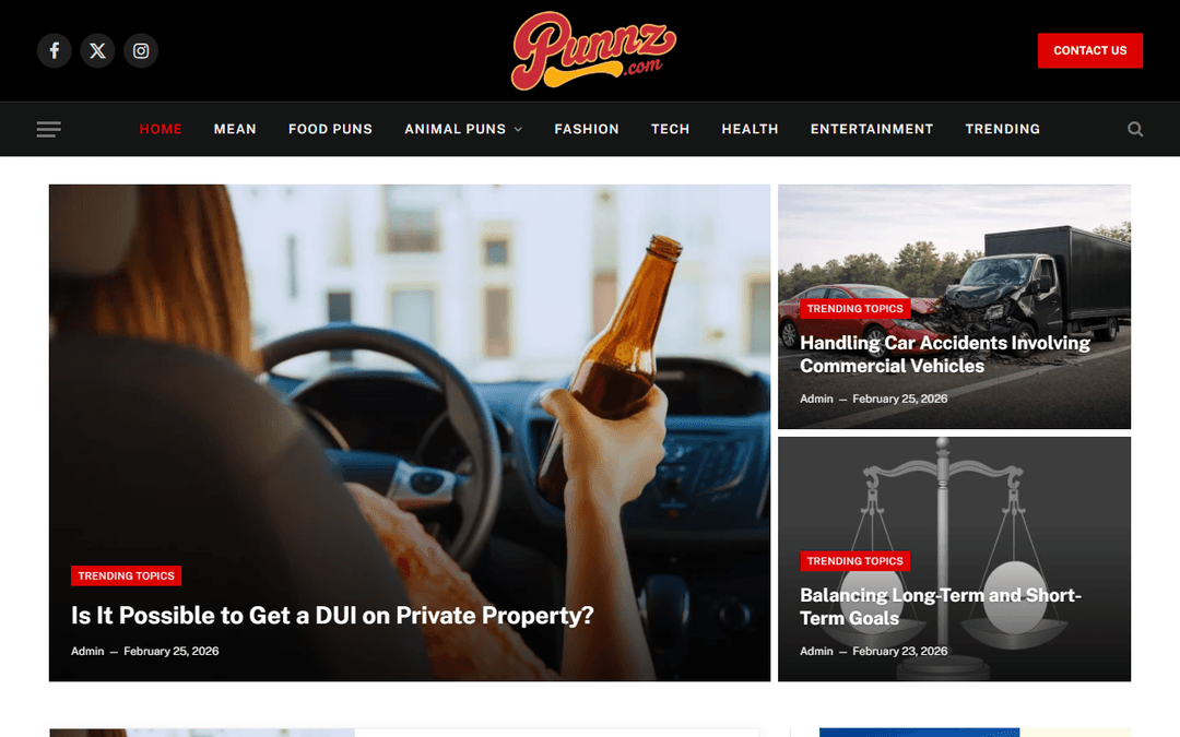 punnz.com publisher screenshot